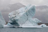 Fahrt mit einem Amphibienfahrzeug durch die Gletscher Lagune  