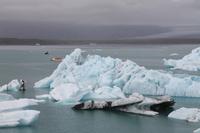 Fahrt mit einem Amphibienfahrzeug durch die Gletscher Lagune  
