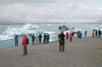 Fahrt mit einem Amphibienfahrzeug durch die Gletscher Lagune  