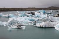 Fahrt mit einem Amphibienfahrzeug durch die Gletscher Lagune  