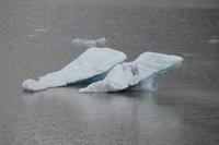 Gletscher Lagune Fjallsárlón