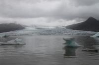 Gletscher Lagune Fjallsárlón