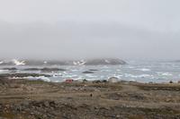 Flug von Kulusuk nach Tasiilaq