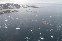 Flug von Kulusuk nach Tasiilaq