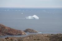 Spaziergang zu einem Aussichtspunkt von Tasiilaq