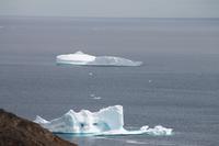 Spaziergang zu einem Aussichtspunkt von Tasiilaq