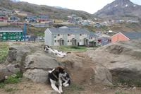 Spaziergang durch Tasiilaq