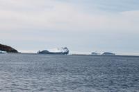 Bootstour zu den Eisbergen von Tasiilaq