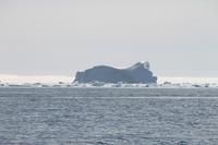 Bootstour zu den Eisbergen von Tasiilaq