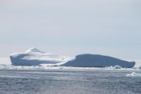 Bootstour zu den Eisbergen von Tasiilaq
