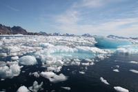 Bootstour zu den Eisbergen von Tasiilaq