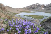 Wanderung durchs Blumental von Tasiilaq