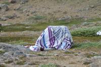 Wanderung durchs Blumental von Tasiilaq