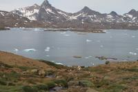 Wanderung durchs Blumental von Tasiilaq