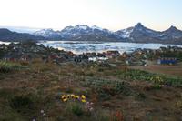 Abendstimmung in Tasiilaq