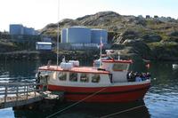 Bootsfahrt zu den Eisbergen in Tasiilaq am 21.07.