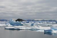 Bootsfahrt zu den Eisbergen in Tasiilaq am 21.07.