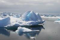 Bootsfahrt zu den Eisbergen in Tasiilaq am 21.07.