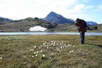 Wanderung im Blumental in Tasiilaq
