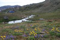 Wanderung im Blumental in Tasiilaq