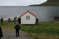 Hier entsteht Gammelhai