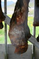 Hier entsteht Gammelhai