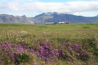 Snaefellsness-Halbinsel