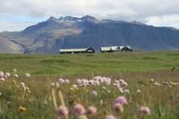 Snaefellsness-Halbinsel