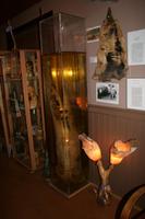 Im Penis-Museum Husavik