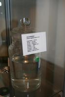 Penis eines Elfs ;-)