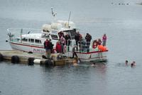 Badende in  Djupivogur