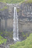 Svartifoss