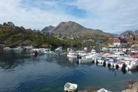 Hafen von Tasiilaq