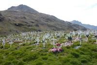 Friedhof Tasiilaq