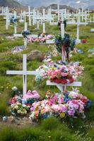 Friedhof Tasiilaq