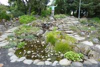 Botanischer Garten Reykjavik