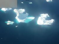 Packeis vor Grönland