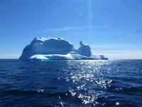 Packeis vor Tasilaq in Grönland