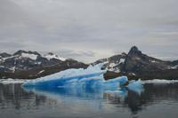 Bootsfahrt zu den Eisbergen in Tasiilaq am 22.07.
