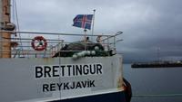 Hafen von Reykjavik