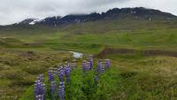 Hochland - Akureyri - Rundreise Reisekombination Island und Grönland 