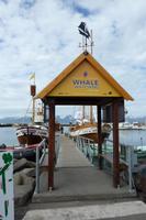Husavik