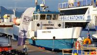 Reykjavík Rundreise Reisekombination Island und Grönland 