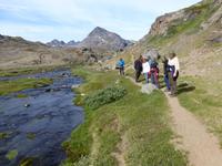 Tal der Blumen Tasilaq Grönland
