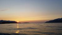 Walbeobachtung Hauganes - Dalvik - Rundreise Reisekombination Island und Grönland 