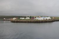 Whale Watching Tour