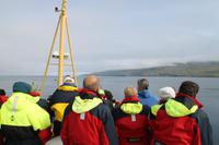 Whale Watching Tour