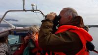 in der Gletscherlagune Jökulsarlon