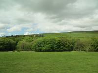 Orkney-Inseln – auf dem Weg nach Kirkwall