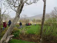 Im kleinen Botanischen Garten von Núpur